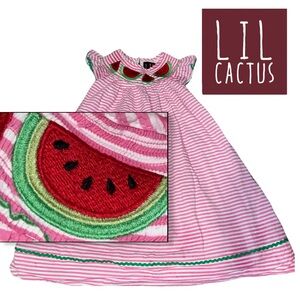 Lil Cactus Embroidered Watermelon Pink Seersucker Bishops Dress 4T EUC